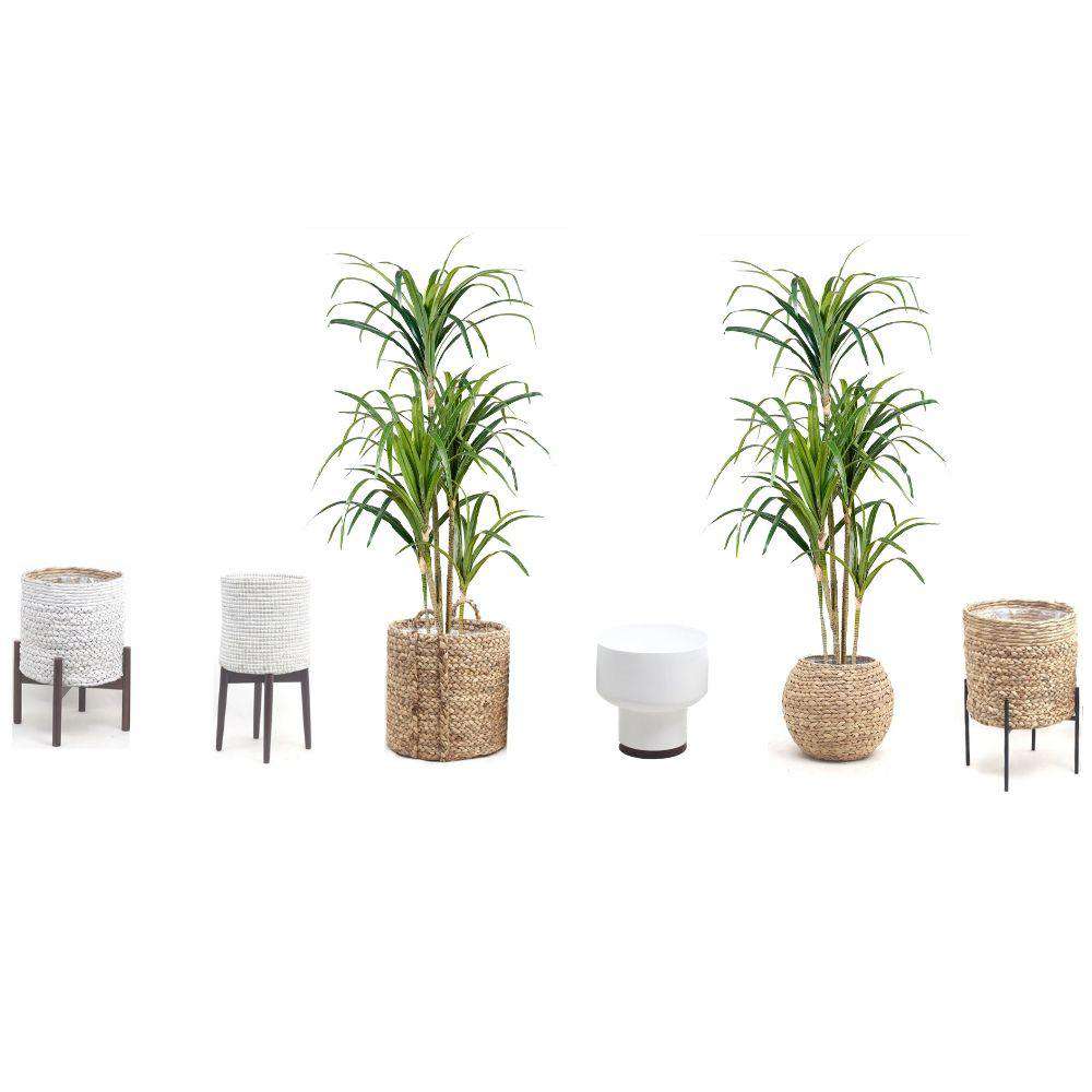 Yulu Artificial Century Potted Plant (Multiple Sizes)