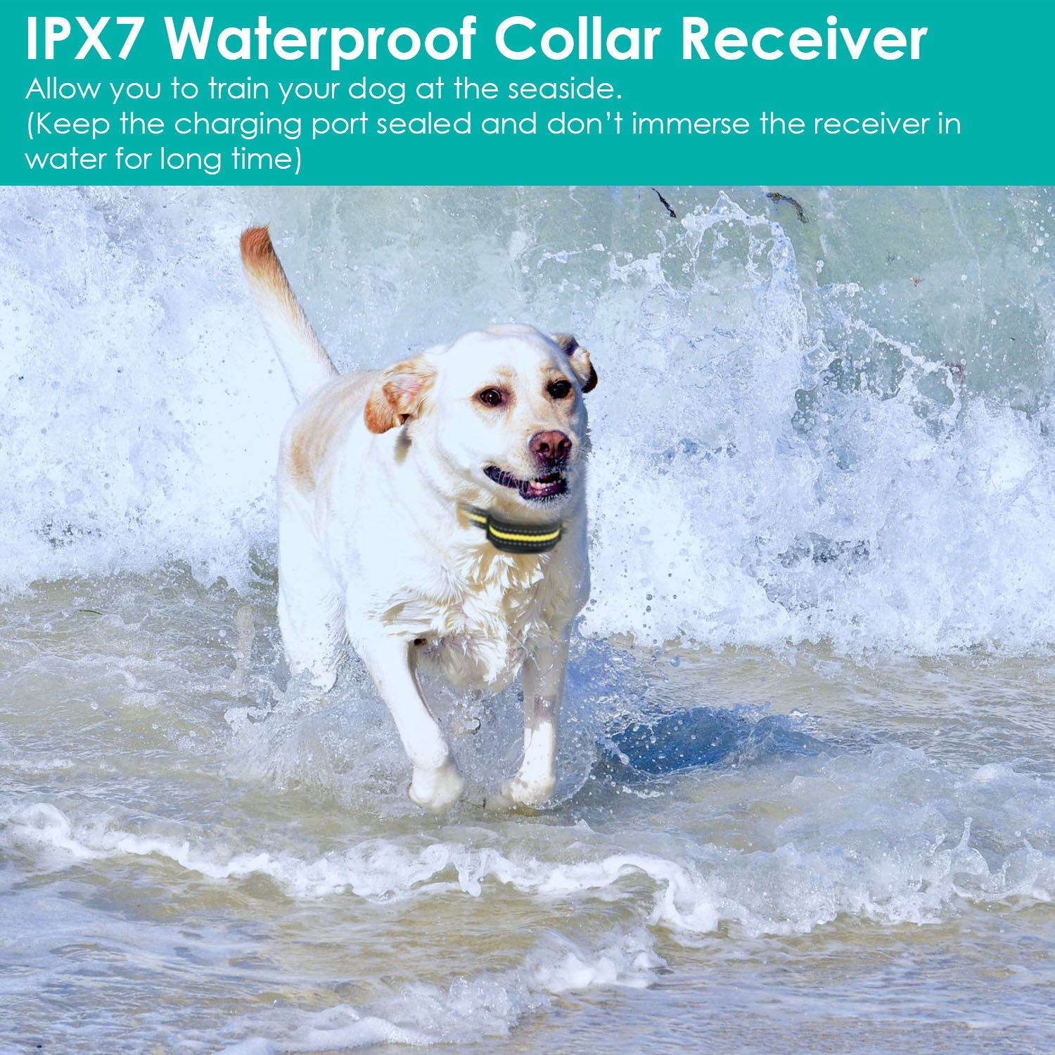 Dog Training Collar with Remote Rechargeable Electronic Shock Collar for Dogs Beep Vibration Shock for small Medium Large Dogs