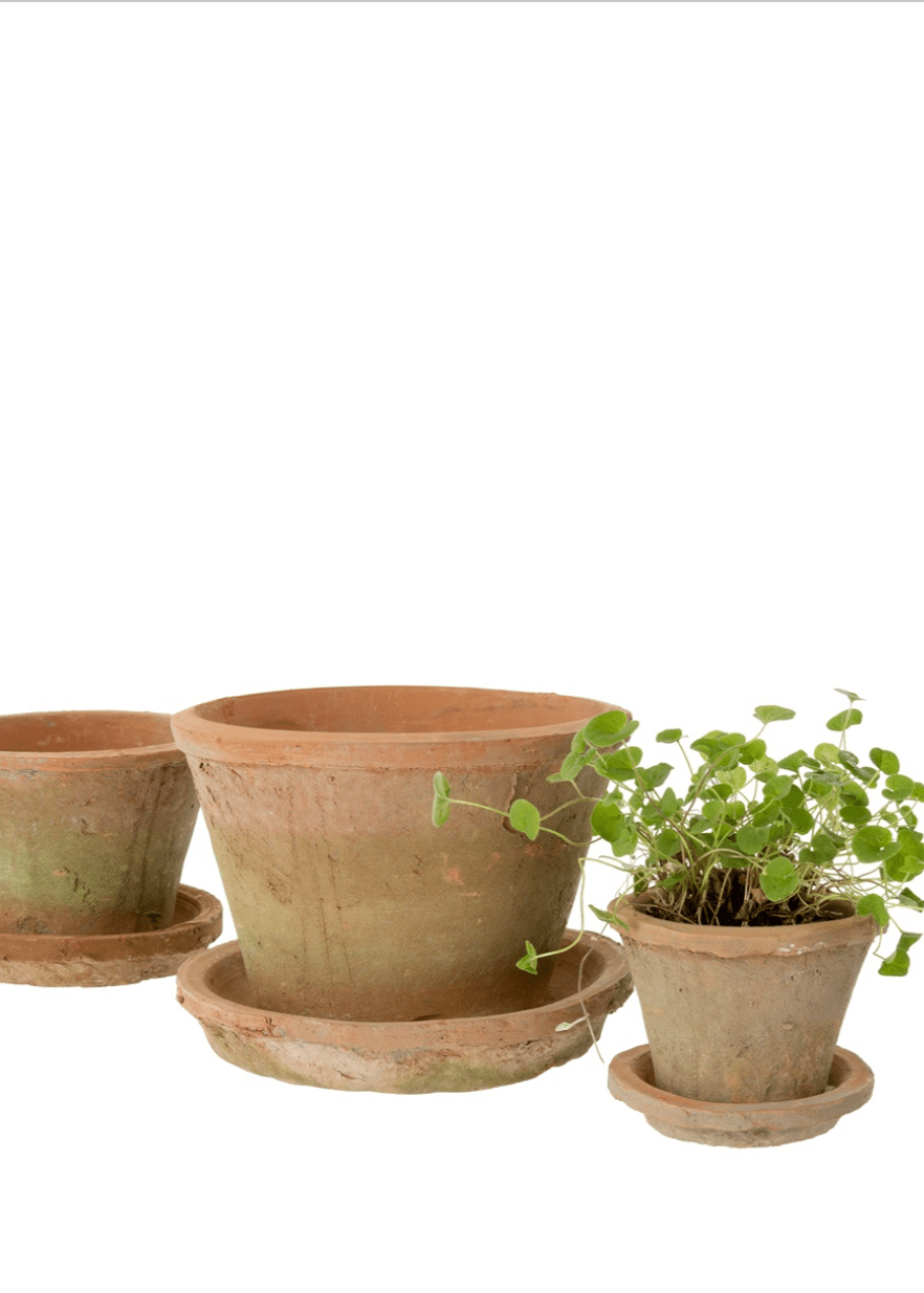 Aged Clay Cactus Pot + Saucer – Antique Redstone