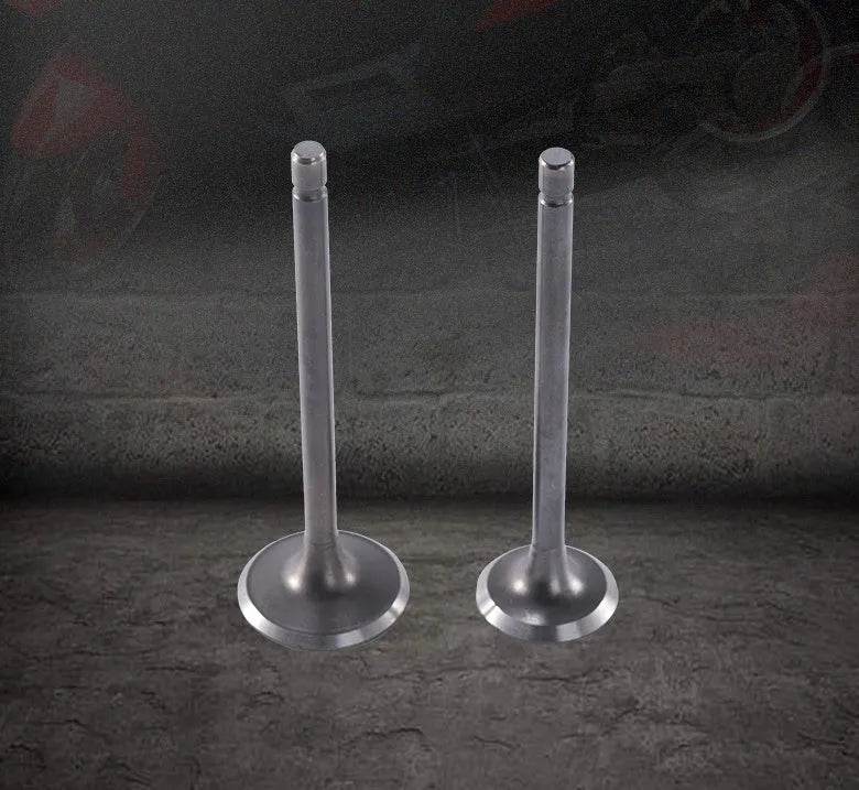 2PCS Motorcycle Engine Nose Alloy Parts Valve CG125