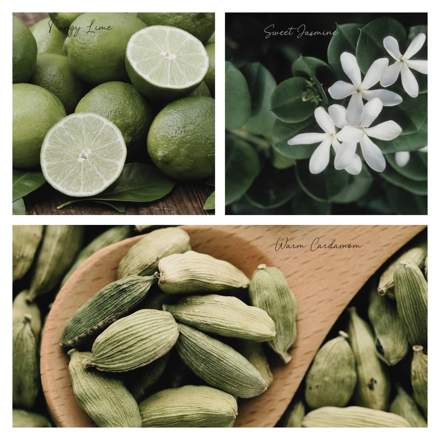 Be Cozy Simmer Pot Mix – Natural Jasmine Spice Aroma