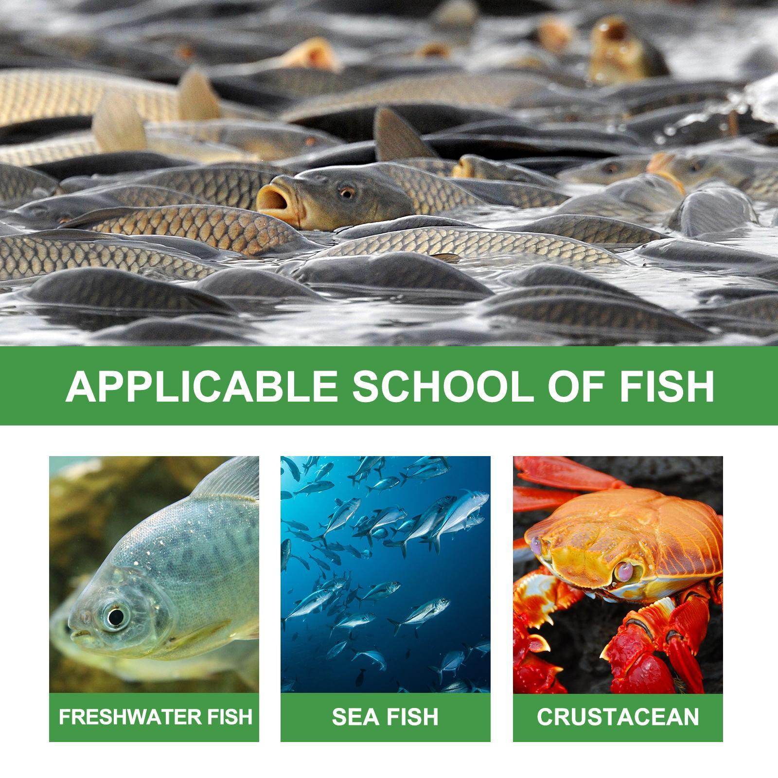 Igbang Wild Fishing Bait Small Medicine Fish Attractant