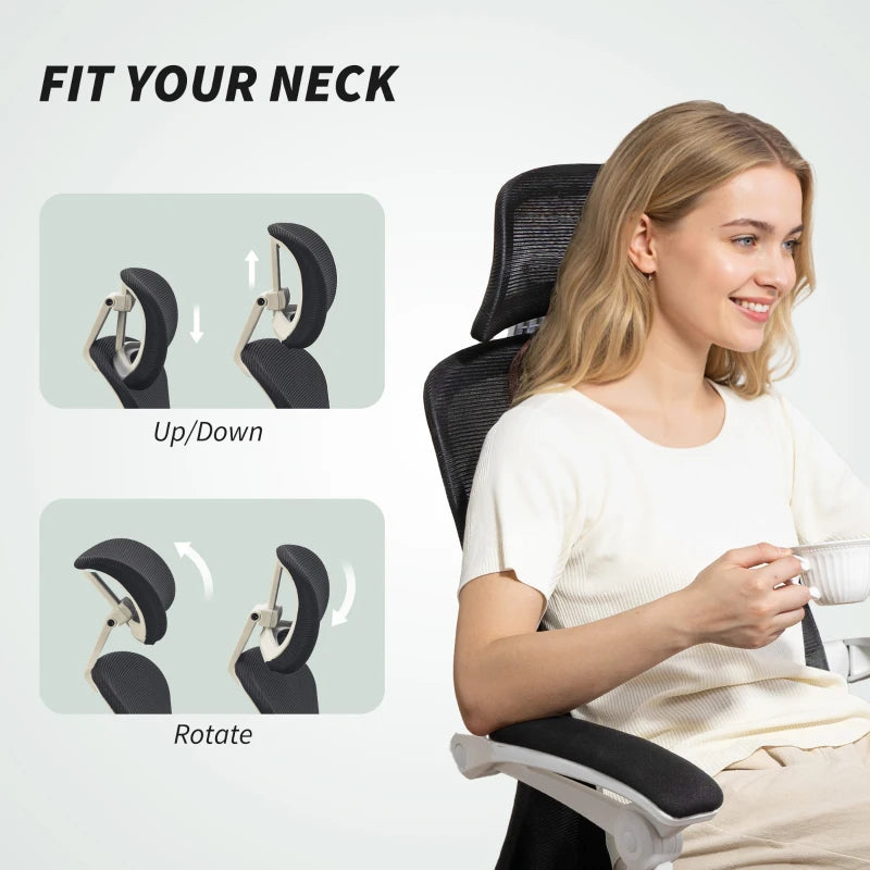 Ergonomic Office Chair, Mesh Reclining Desk Chair with Adjustable Lumbar Support, Headrest, Black