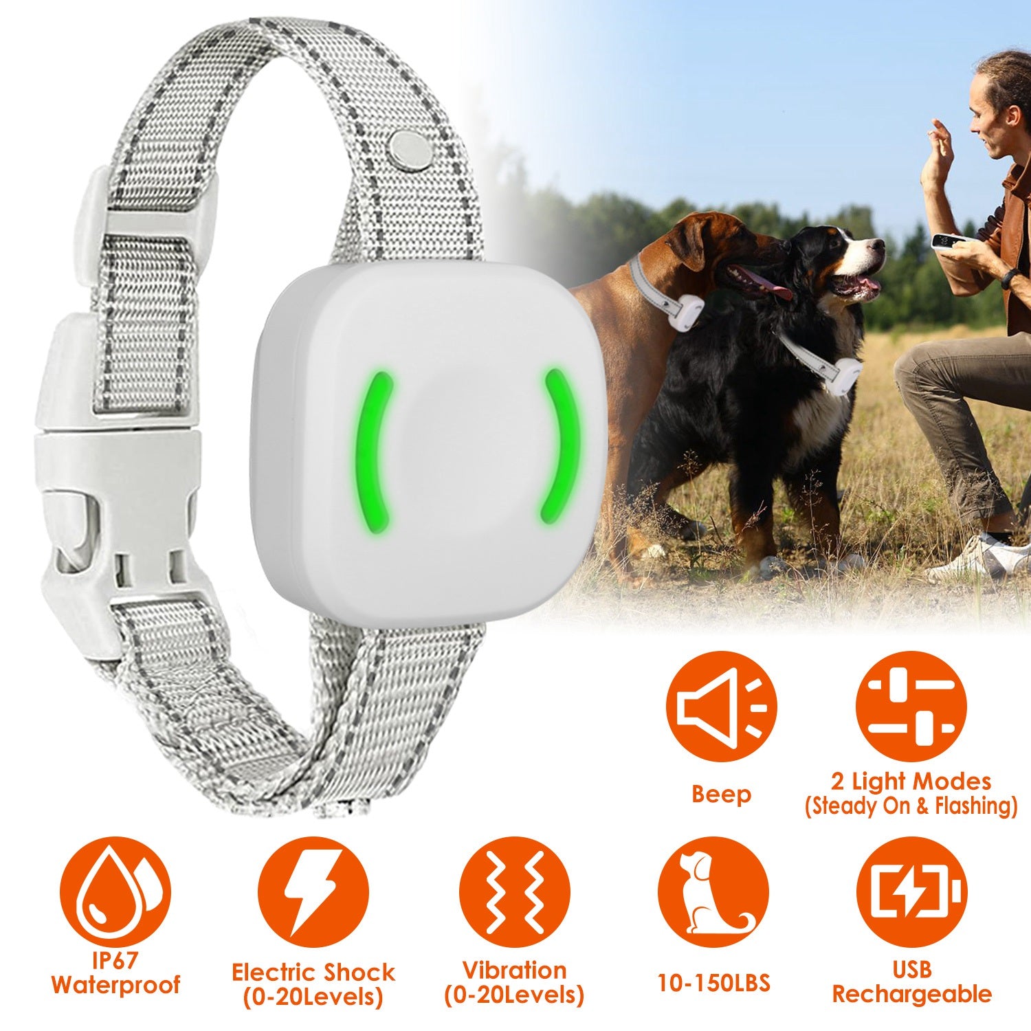 IP67 Waterproof Electric Dog Training Collar Rechargeable Dog Receiver with Light Beep Vibration Shock Fit for All Dogs 10-150LBS