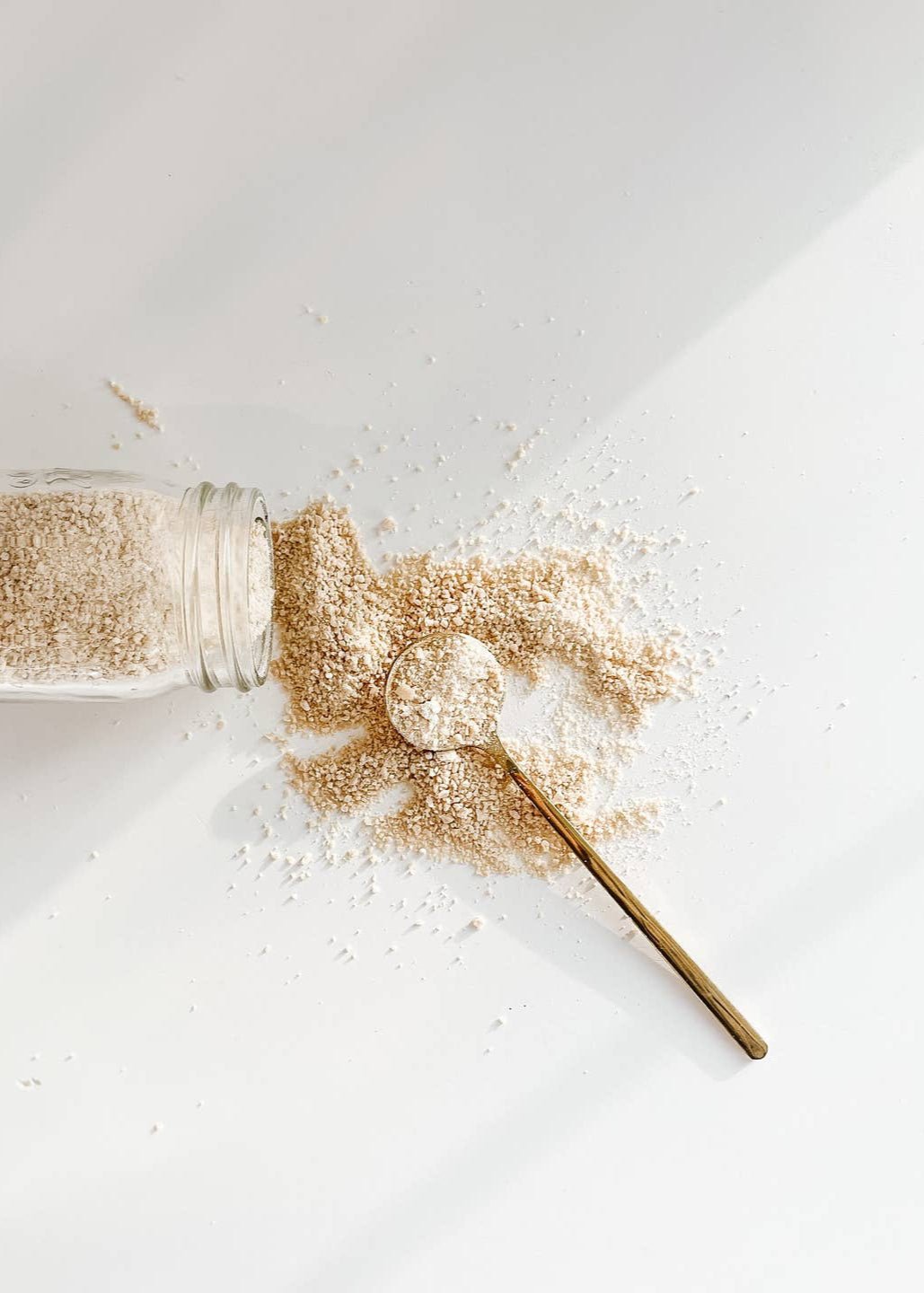 Dehydrated Sourdough Starter