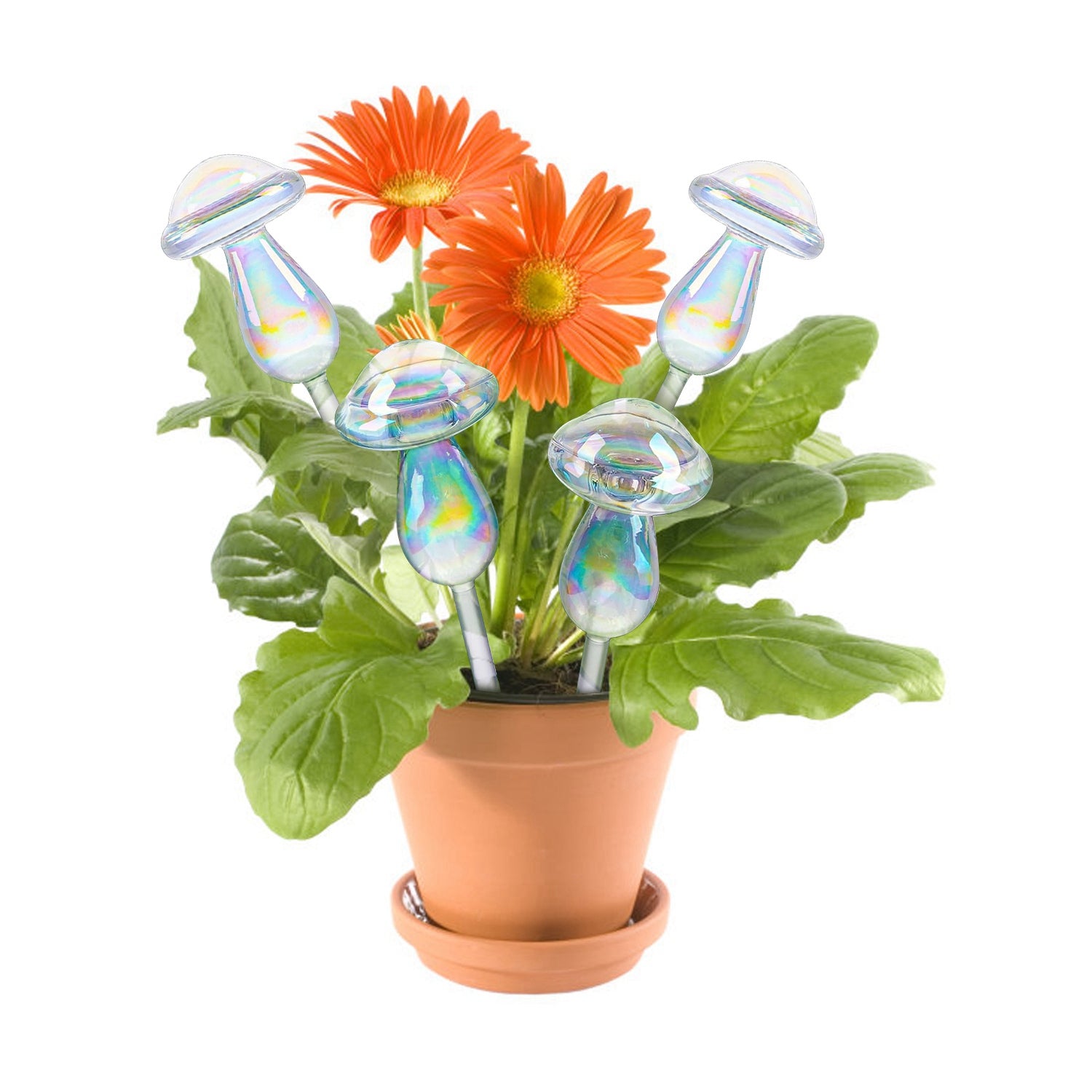 4Pcs Clear Glass Plant Watering Globes Iridescent Rainbow Gradient Mushroom Self-Watering Container Plant Self-Watering System Automatic Irrigation De