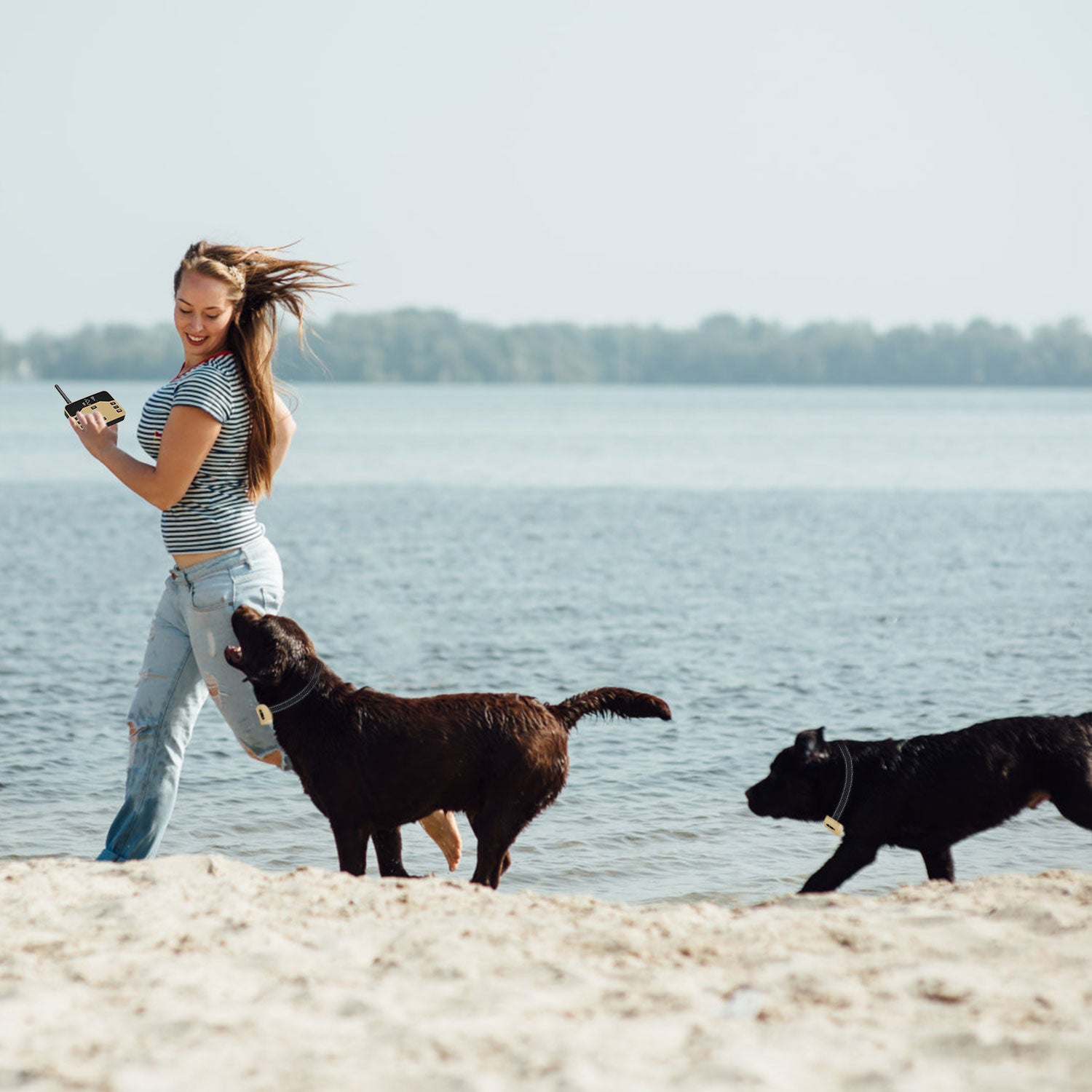 2 In 1 Wireless Electric Dog Fence Waterproof Pet Shock Boundary Containment System Electric Training Collar with 2 Receiver Collars for Small Medium