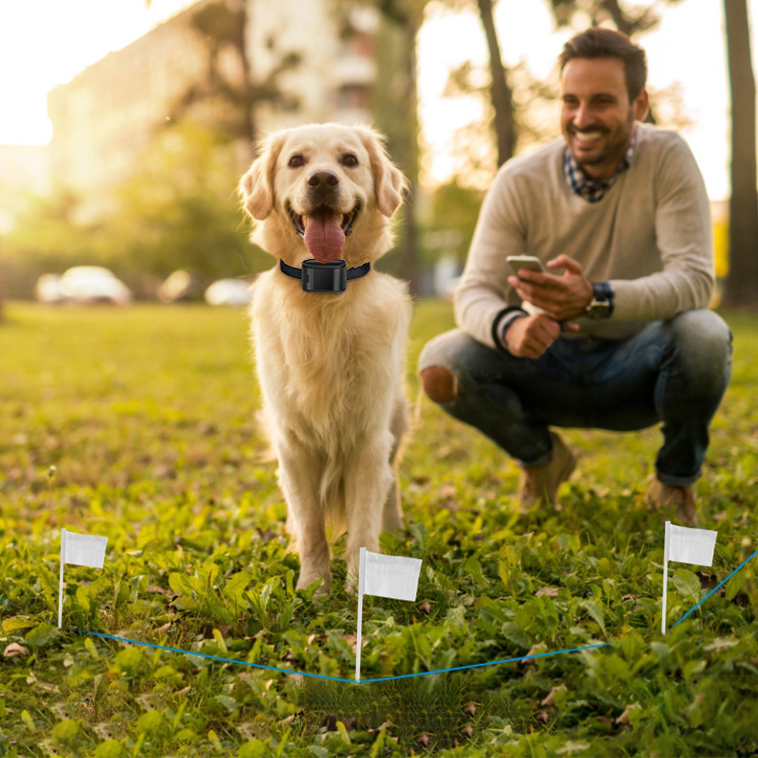 984 Feet 0.2in Dog Fence Wire Aluminum Boundary Wire for GPCT2529 Dog Fence System