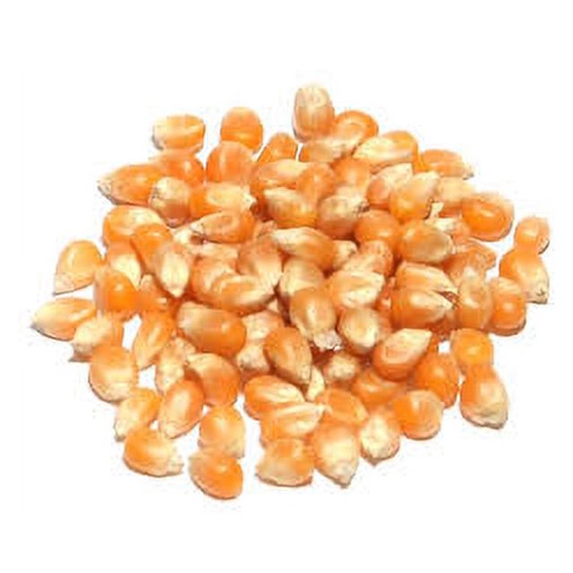 Raw Popcorn Kernels Yellow Bulk (6lbs, 12lbs, 18lbs, 24lbs)