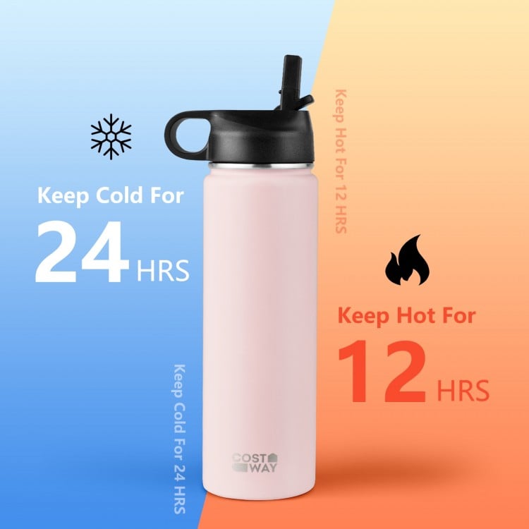22 Oz Double-walled Insulated Stainless Steel Water Bottle with Straw Lid