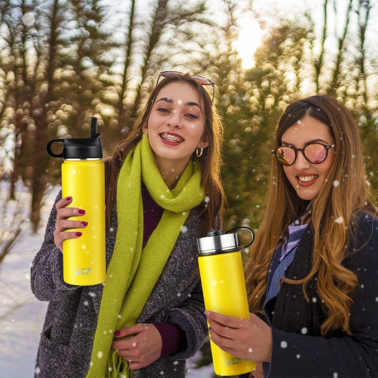 22 Oz Double-walled Insulated Stainless Steel Water Bottle with Straw Lid