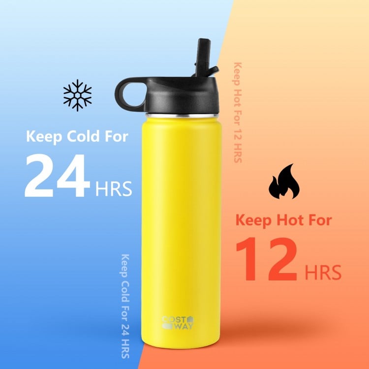 22 Oz Double-walled Insulated Stainless Steel Water Bottle with Straw Lid
