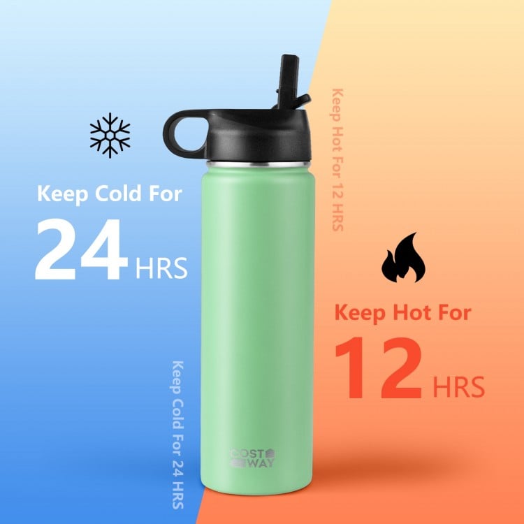 22 Oz Double-walled Insulated Stainless Steel Water Bottle with Straw Lid