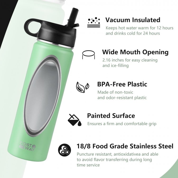 22 Oz Double-walled Insulated Stainless Steel Water Bottle with Straw Lid