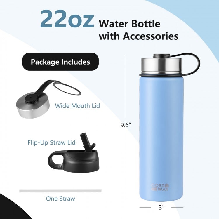 22 Oz Double-walled Insulated Stainless Steel Water Bottle with Straw Lid