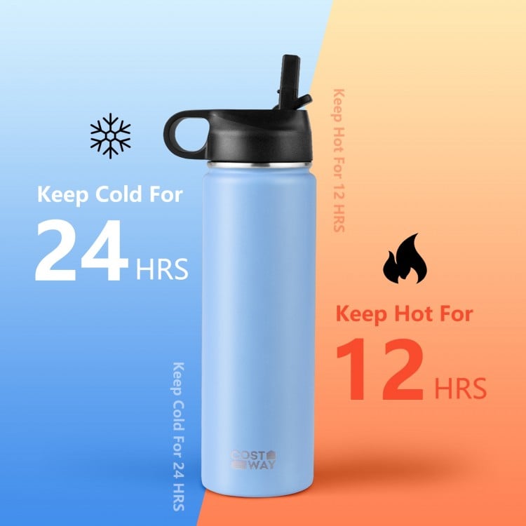 22 Oz Double-walled Insulated Stainless Steel Water Bottle with Straw Lid