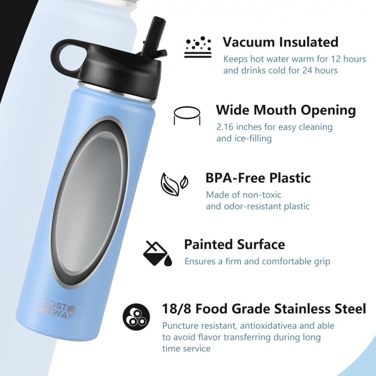 22 Oz Double-walled Insulated Stainless Steel Water Bottle with Straw Lid