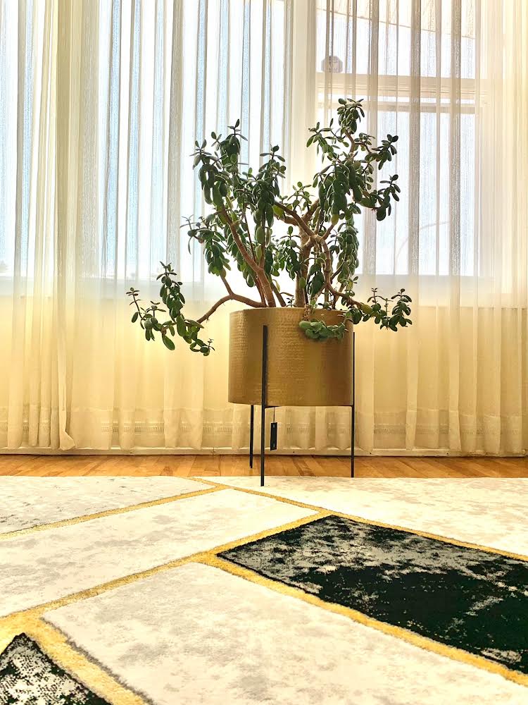 Zoe - Brass Mid-Century Planter With Black Metal Stand