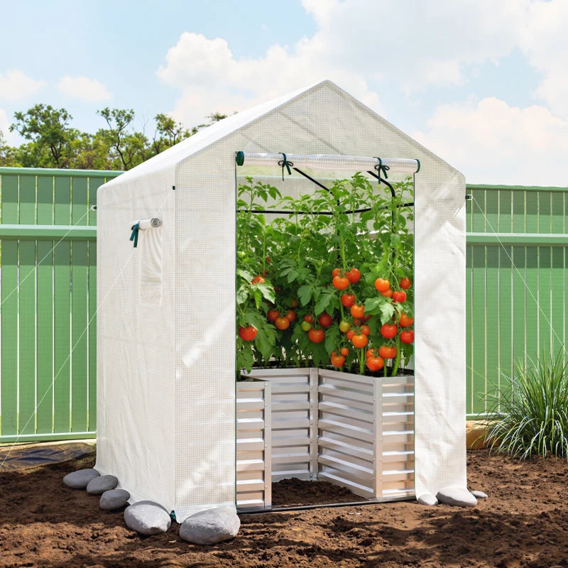 Greenhouse with Raised Garden Bed, Galvanized Metal Planter Box with PE Cover, Roll Up Door, 56" x 56" x 75", White