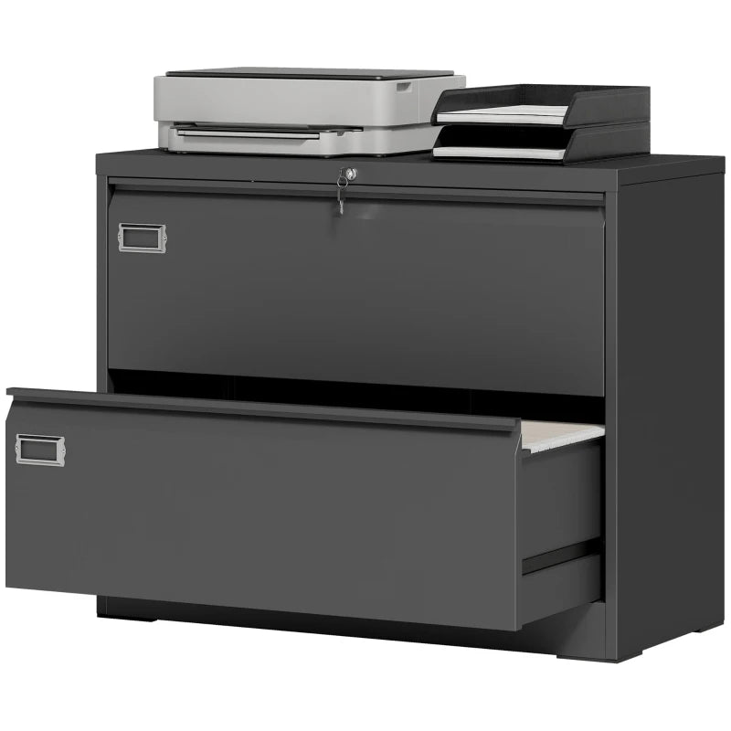 Lateral Filing Cabinet with 2 Drawers, Lockable Steel File Cabinet for A4/Letter/Legal Size Files, Black