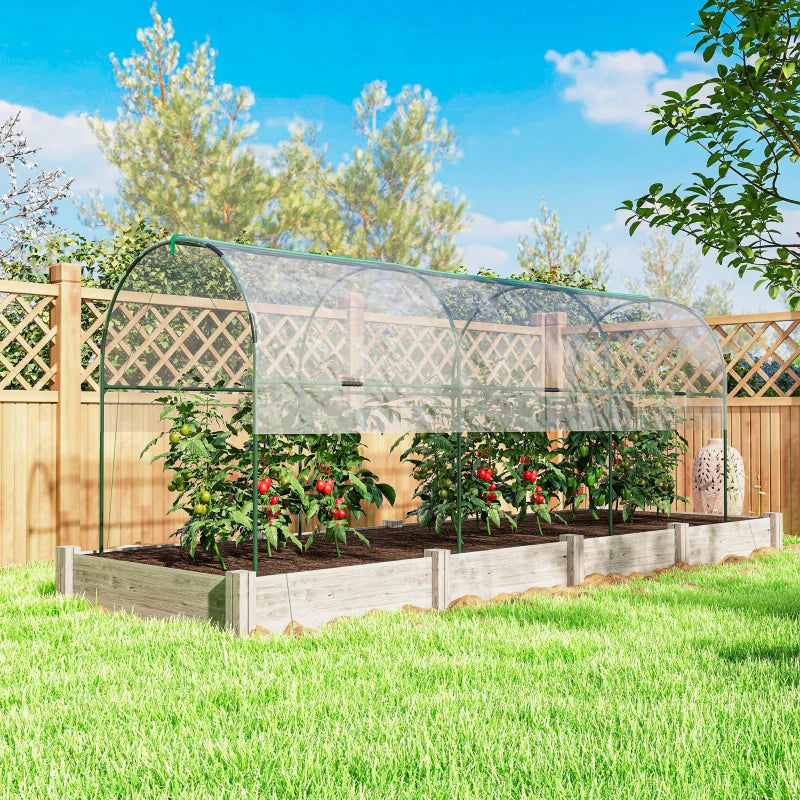 Tunnel Tomato Greenhouse with 4 Hoops and Top Tap, Pointed Bottom and Guy Ropes, 157.5" x 47.2" x 66.9", Clear