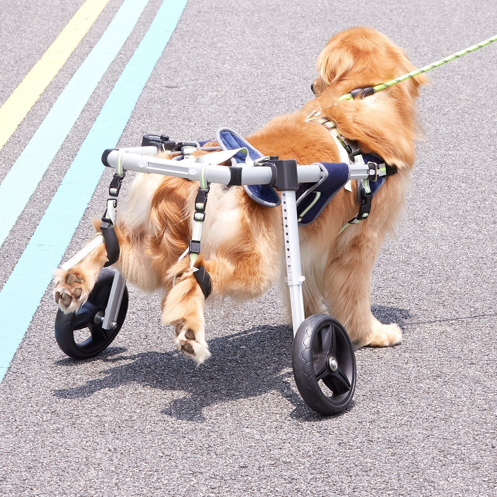 VEVOR 2 Wheels Dog Wheelchair for Back Legs, Pet Wheelchair Lightweight & Adjustable Assisting in Healing, Dog Cart/Wheelchair for Injured, Disabled, Paralysis, Hind Limb Weak Pet(M)