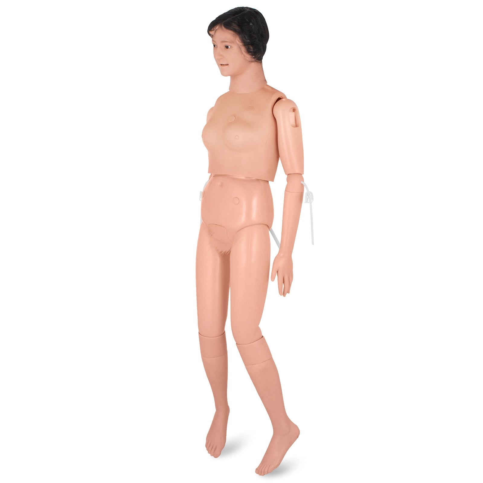 VEVOR Manikin for The Cure of The Patient Didactic Material in PVC Medical Training Teaching Manikin Model Woman for Teaching at School of Nursing Medicine