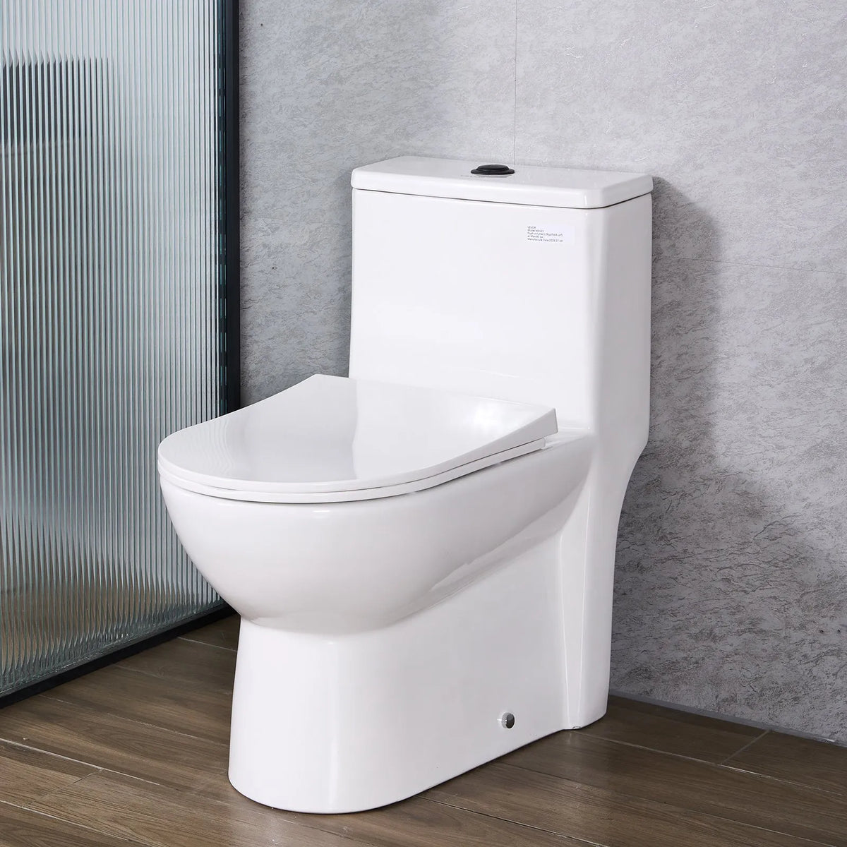 One-Piece Elongated Toilet with Dual Flush 1.1/1.6 GPF, 12" Rough-In & Soft-Close Seat – Black & White