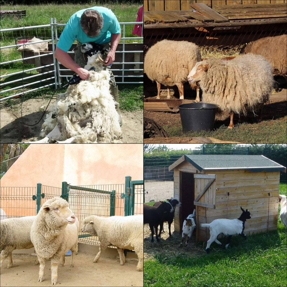 VEVOR Livestock Stand, 9.8" Height and Trimming Stand 5.9" Length Adjustable, Steel Gate Attachment Nose Loop Headpiece, Nose Loop Goat Trimming Stands, Sheep Shearing Stand, for Sheep & Goats