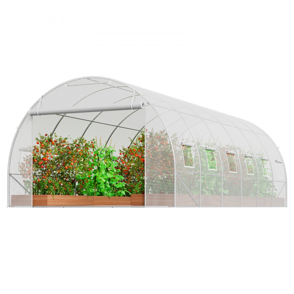 VEVOR Walk-in Tunnel Greenhouse 19.36x9.68x6.5ft Galvanized Frame PE Cover White