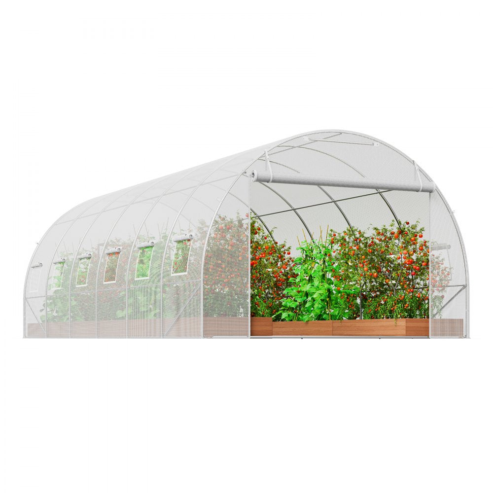 VEVOR Walk-in Tunnel Greenhouse 19.36x9.68x6.5ft Galvanized Frame PE Cover White