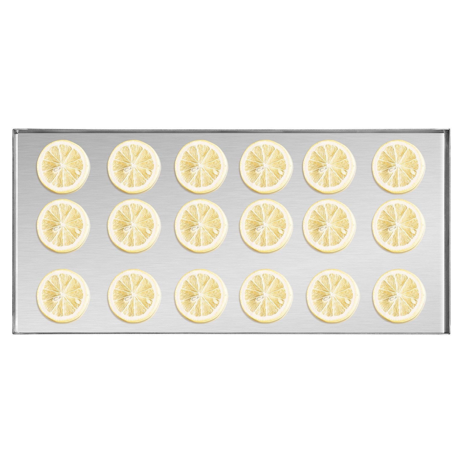 VEVOR Vacuum Freeze Dryer 4-Layer Fruit Vegetable Freeze Drying Machine White