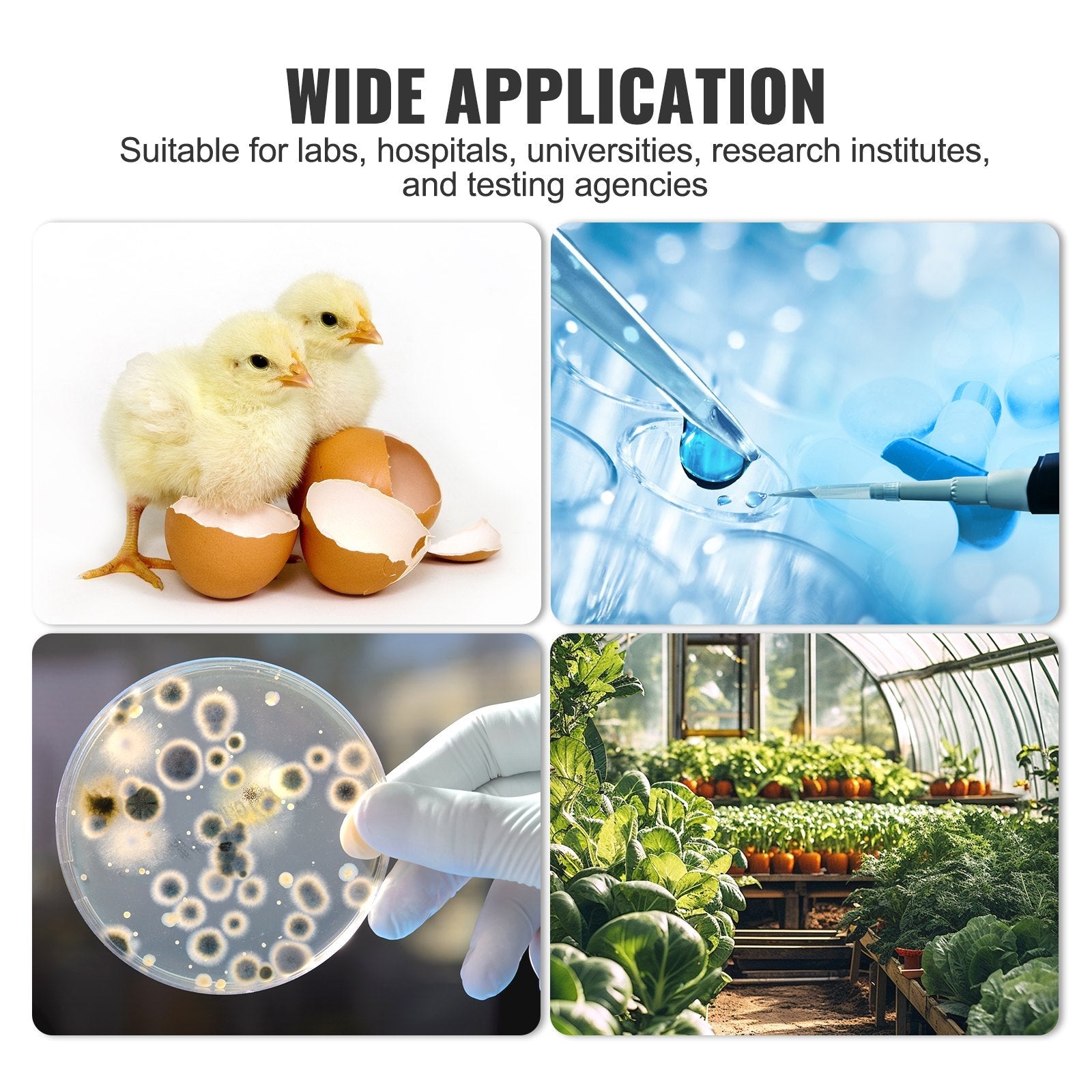 VEVOR Microbiological Lab Incubator 20L Precise Temp Control from 0°C to 70°C