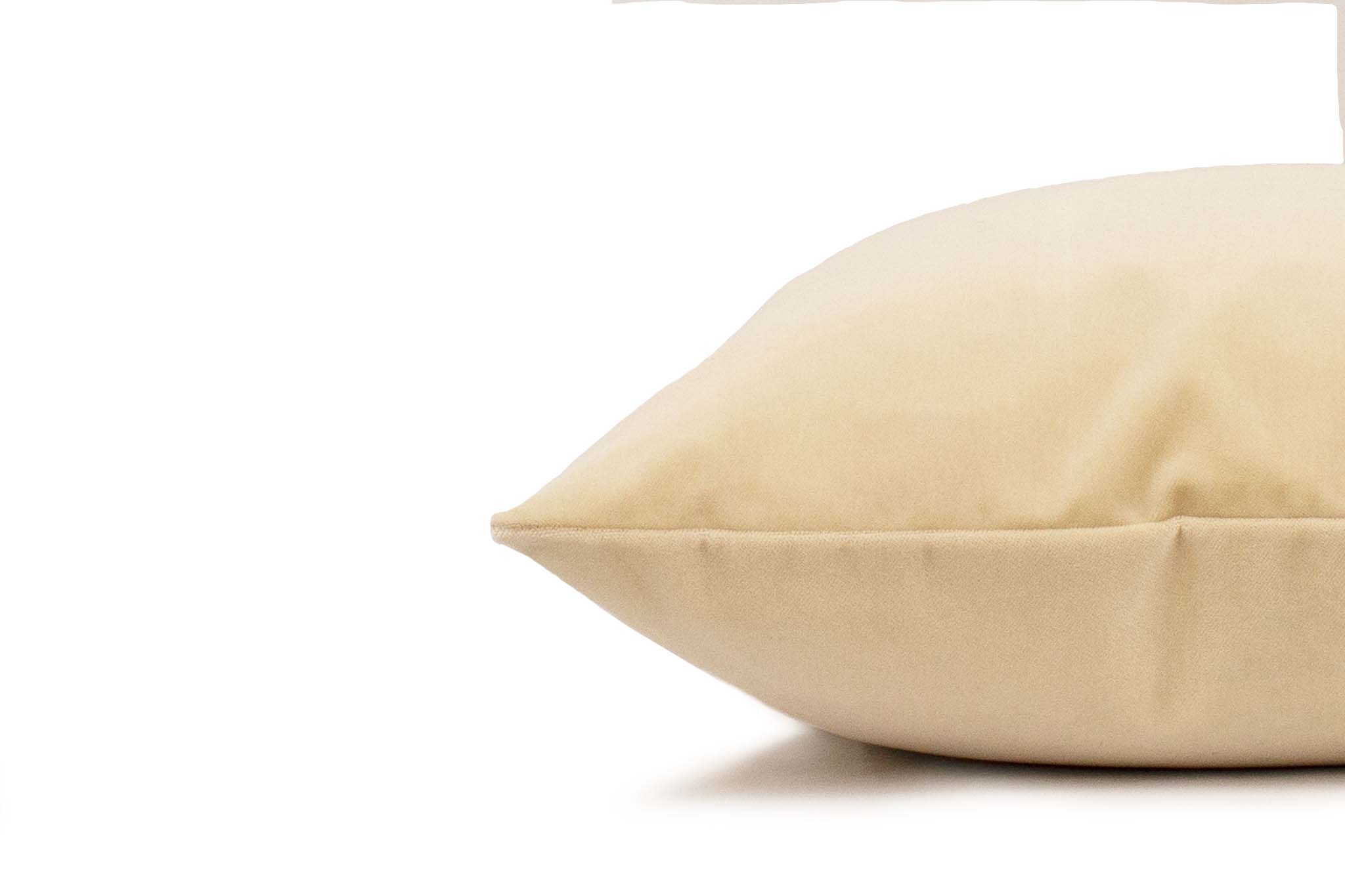 Brie Velvet Cushion Cover