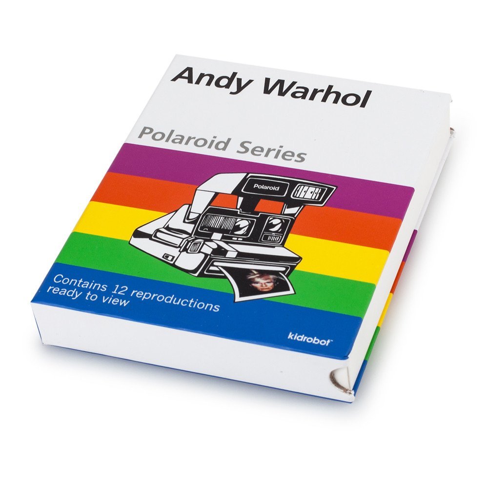 Kidrobot Andy Warhol Polaroid Series Blind Box
