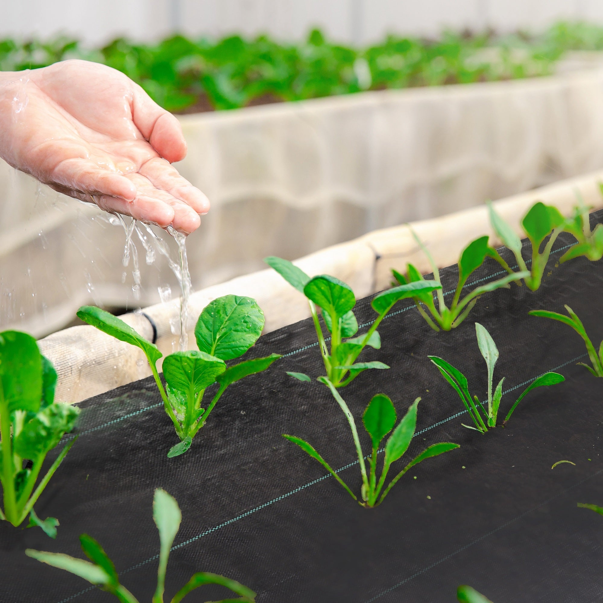 Outsunny Heavy-Duty Weed Barrier 6.5ft x 164ft Landscape Fabric for Optimal Weed Control in Gardens Greenhouses Easy Install 4.6oz