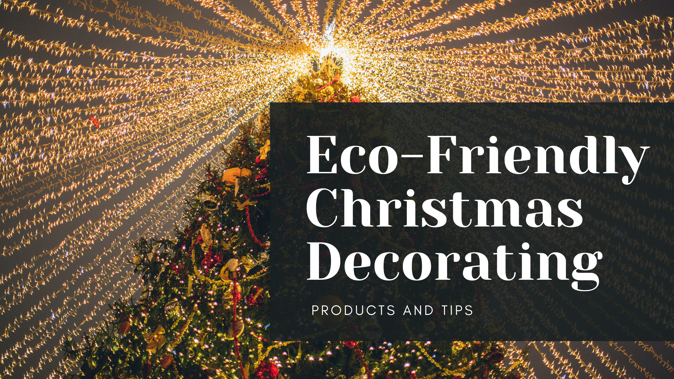 Eco-Friendly Christmas Decorating: Sustainable Products and Tips 2024