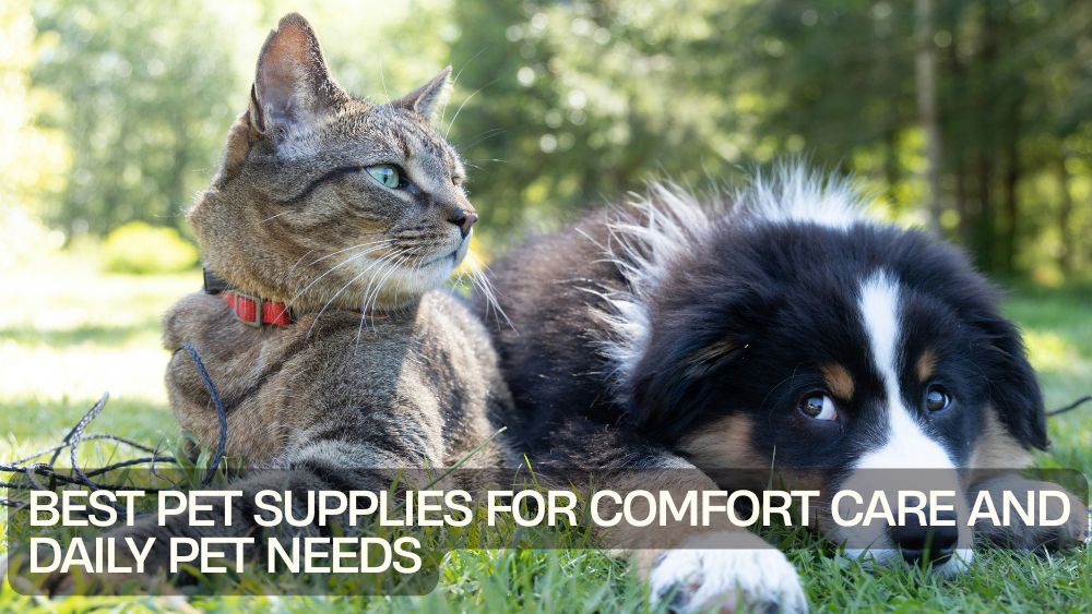 Best Pet Supplies for Comfort Care and Daily Pet Needs
