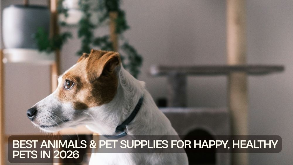 Best Animals & Pet Supplies for Happy, Healthy Pets in 2026