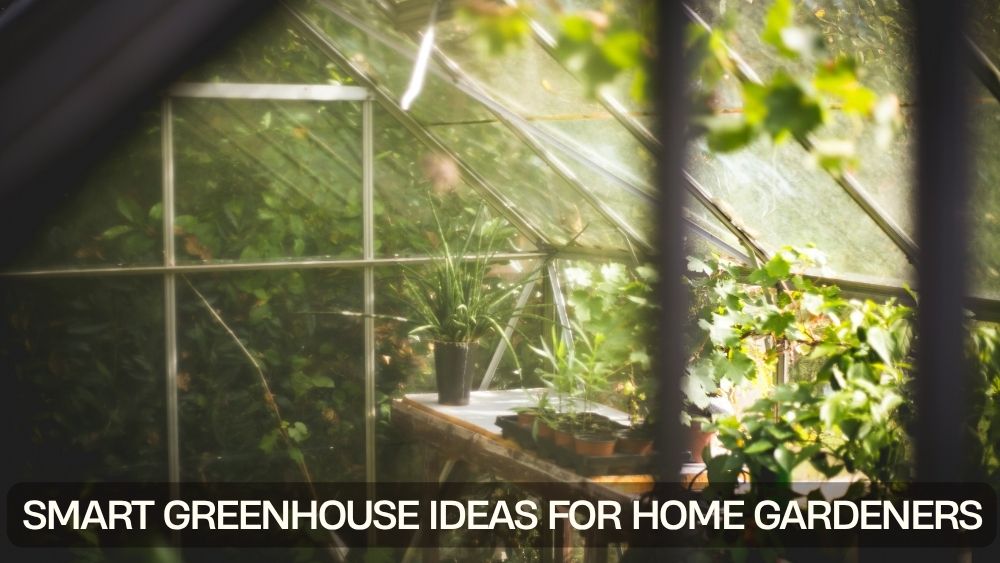 Smart Greenhouse Ideas for Home Gardeners
