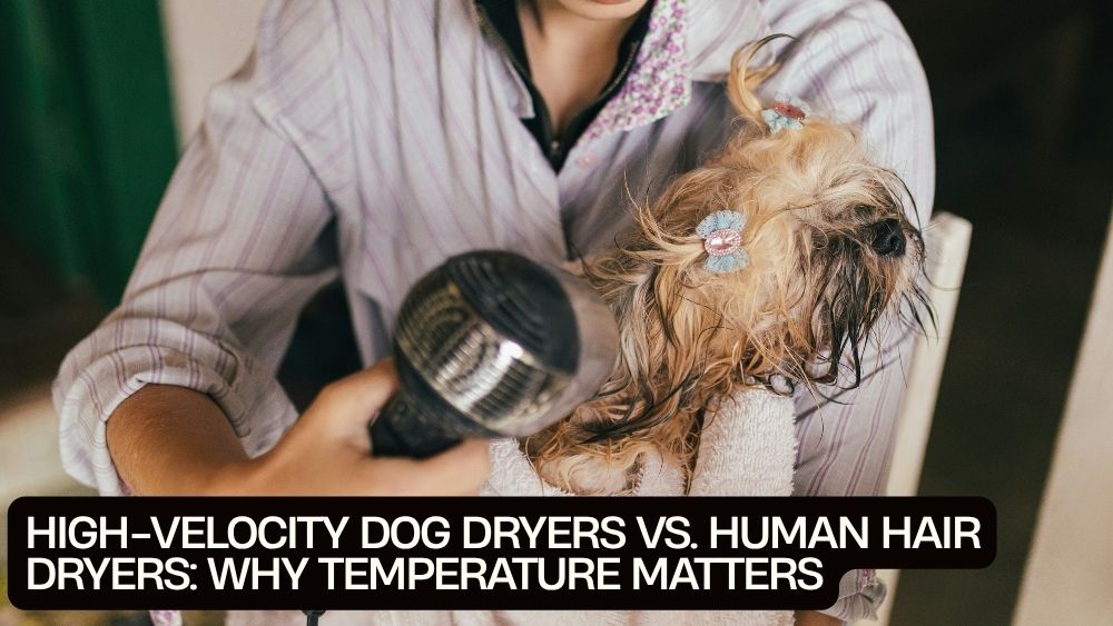 High-Velocity Dog Dryers vs. Human Hair Dryers: Why Temperature Matters
