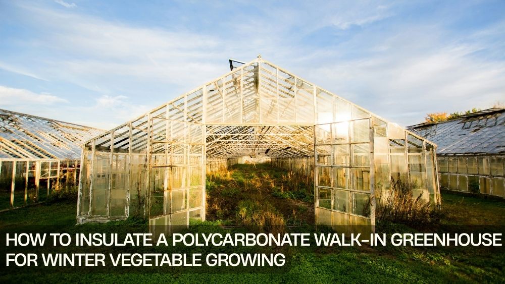 How to Insulate a Polycarbonate Walk-In Greenhouse for Winter Vegetable Growing