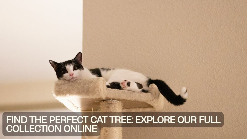Find the Perfect Cat Tree: Explore Our Full Collection Online