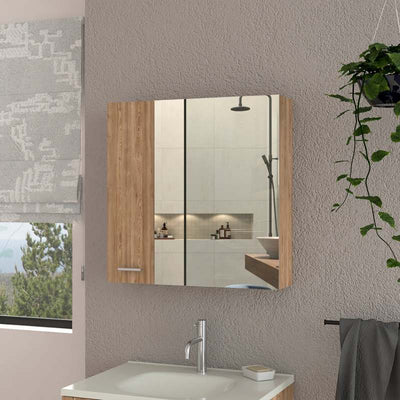 Kenya Medicine Cabinet Mirror Double Door Four Interior Shees 