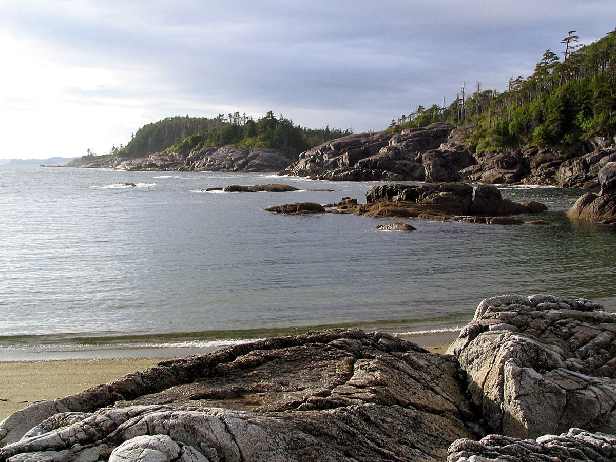 505 Broughtons/Cape Caution Inside Passage Chart Assistant 