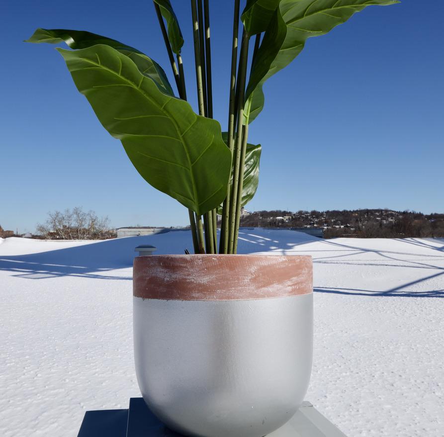 Camilo Glazed Planter 12'' 