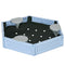 Outsunny Sandbox with Cover for Kids 3 Seats Bottom Liner Light Blue 3-12 Years Old