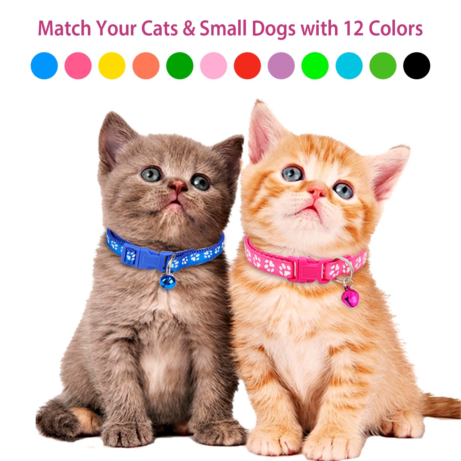 Cat Collar Adjustable Kitten Collar Pet Collar with Bell Name Tag Safety Buckle Collar