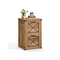 VASAGLE File Cabinet with 2 File Drawers, Fit A4