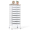 10-Drawer Rolling Storage Cart Mobile Utility Organizer with Wooden Tabletop and Lockable Wheels-White